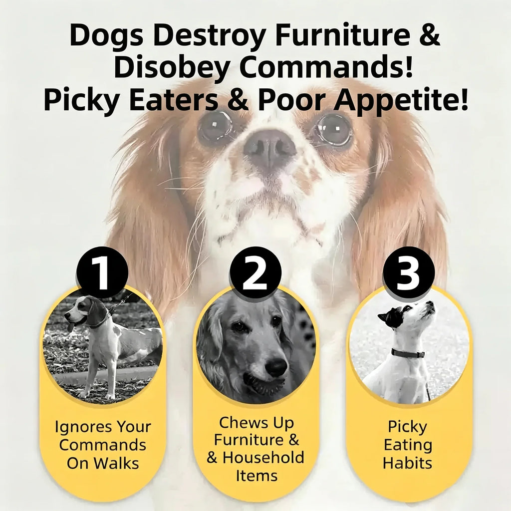 Premium Beef Jerky Dog and Cat Training Treats
