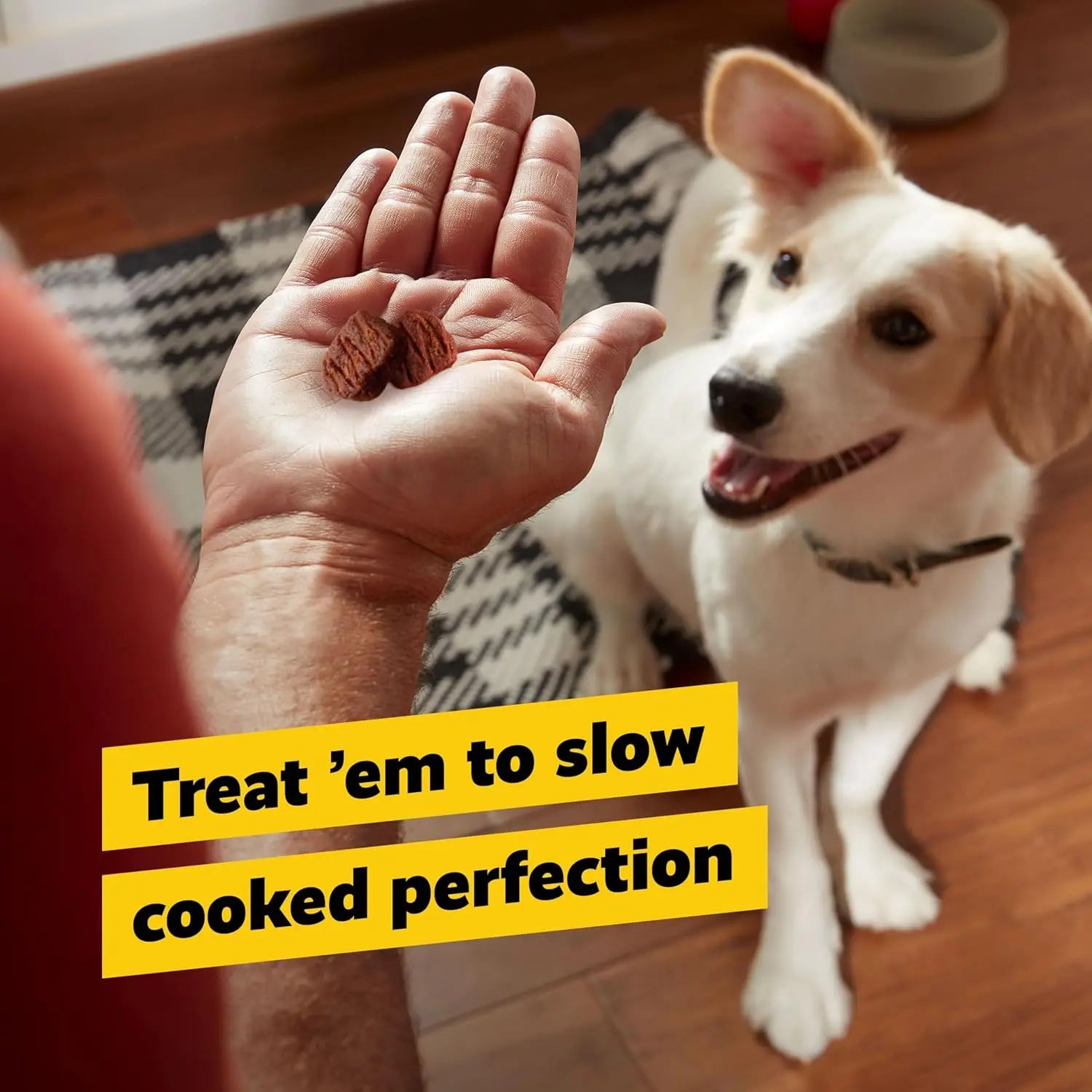 Premium Beef Jerky Dog and Cat Training Treats