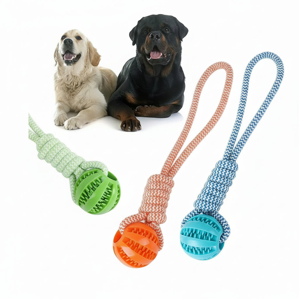 Interactive Dog Toy Tug Rope