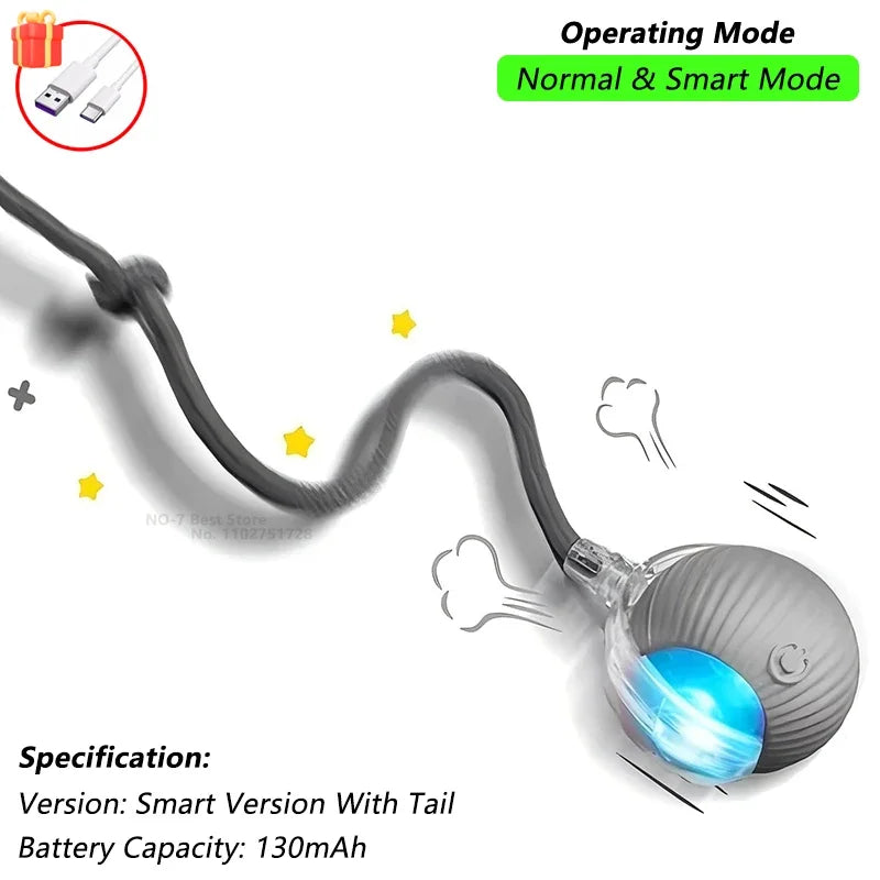 iLMH Smart Interactive Rolling Cat Ball Toy with Faux Tail and Mouse Sound