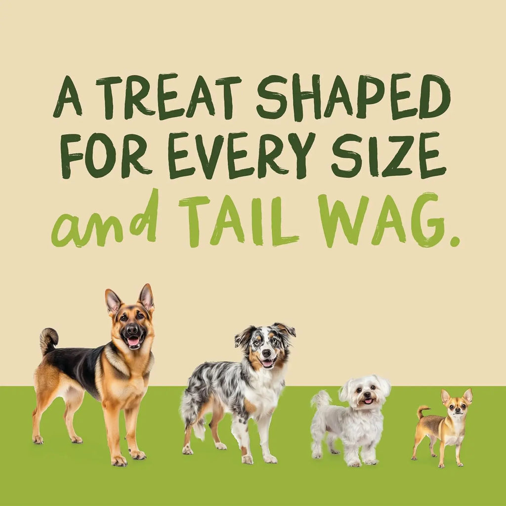 Premium Beef Jerky Dog and Cat Training Treats