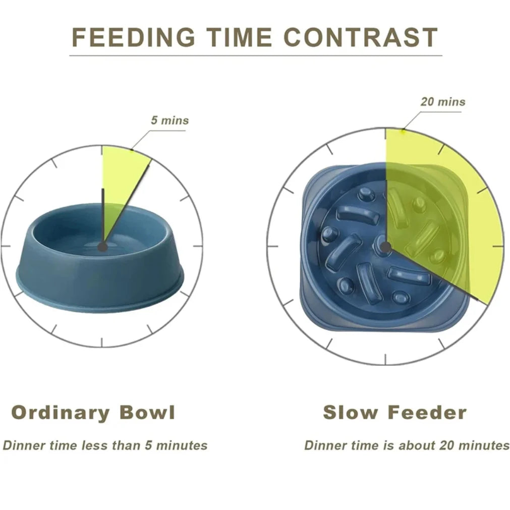 Slow Feeder Dog Bowl – Anti-Choke Puzzle Feeding Bowl